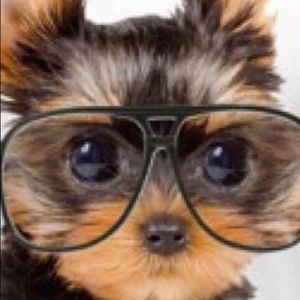 Meet your Posher, Karlene